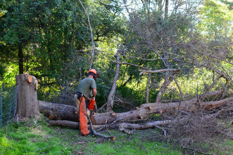 Local Commercial Tree Service in Brookfield, CT