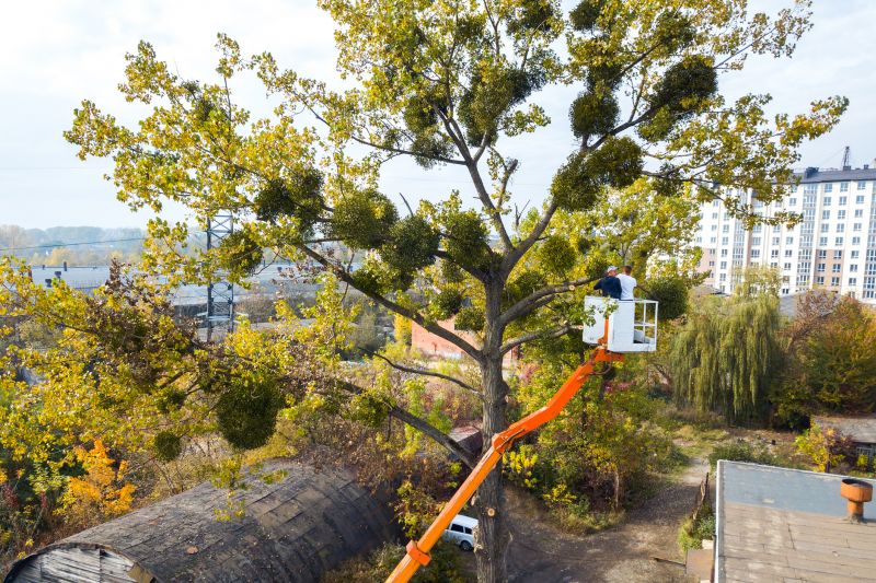 Local Commercial Tree Service in Wayne, NJ