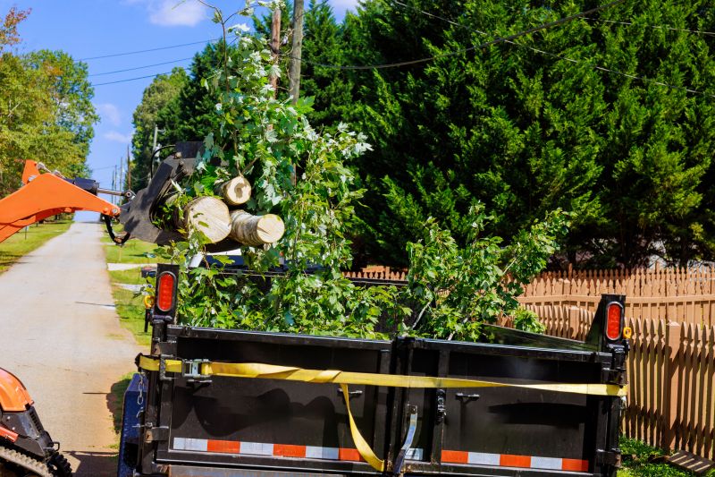 Local Residential Tree Service in Hackensack, NJ