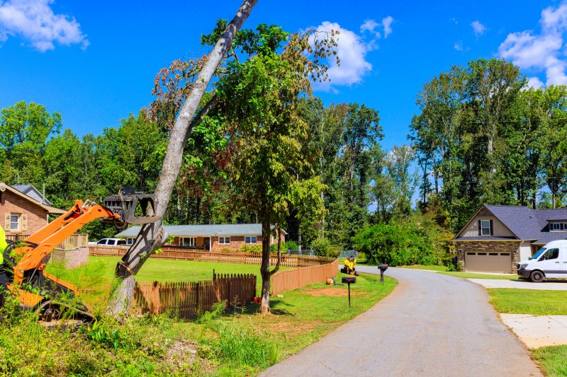 Local Tree Limbs Removal in East Orange, NJ
