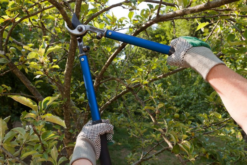 Local Tree Lopping Service in Mount Kisco, NY