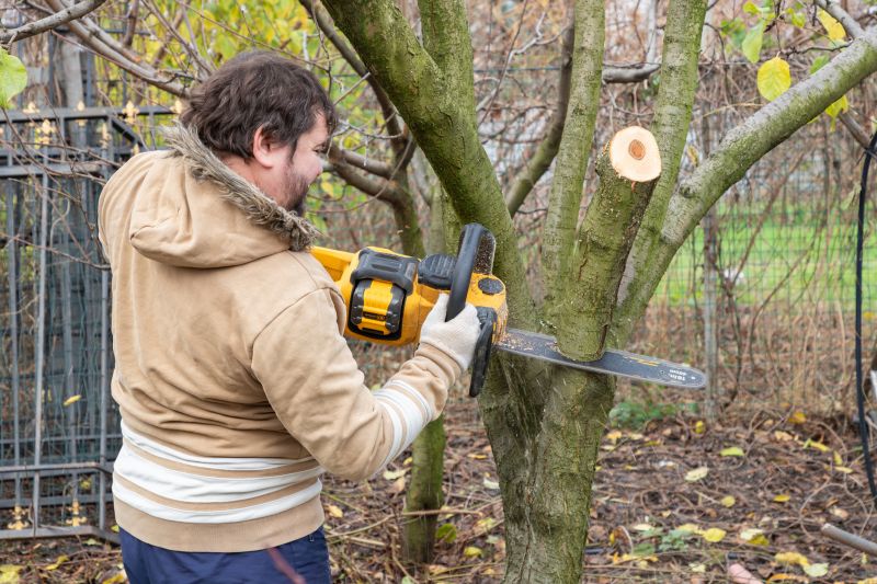 Local Tree Maintenance Service in Caldwell, NJ