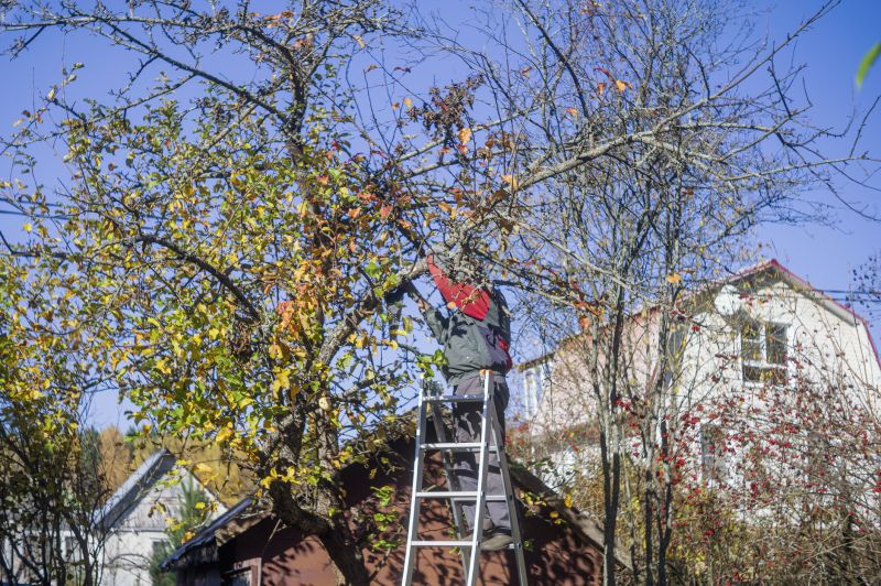 Local Tree Trimming Service in Jamaica, NY
