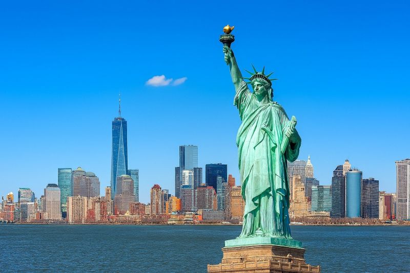 Local Commercial Tree Service in New York, NY