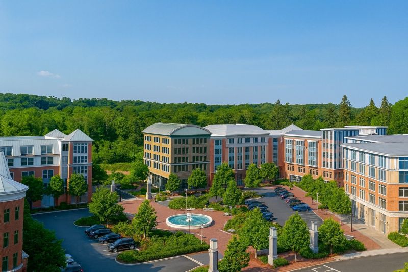 Local Commercial Tree Service in Brewster, NY