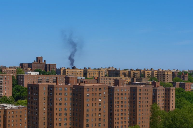 Local Limbs Trimming in Bronx, NY