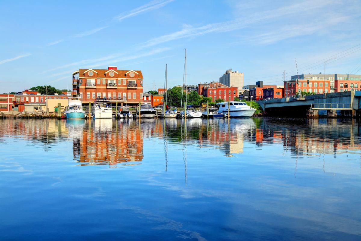 Local Residential Tree Service in Norwalk, CT