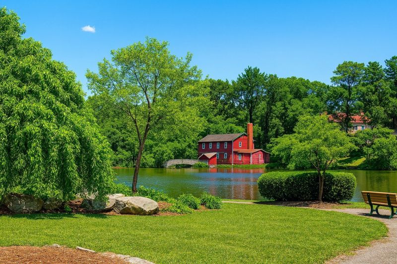 Local Residential Tree Service in Bergenfield, NJ