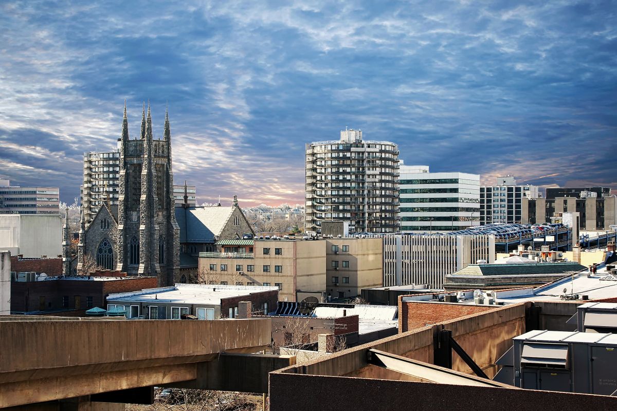 Local Tree Crown Shaping in Stamford, CT