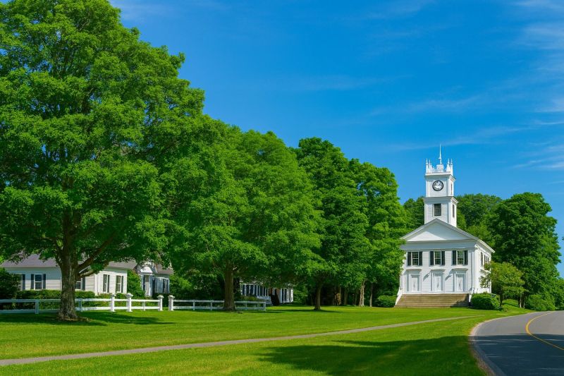 Local Tree Limbs Removal in Redding, CT