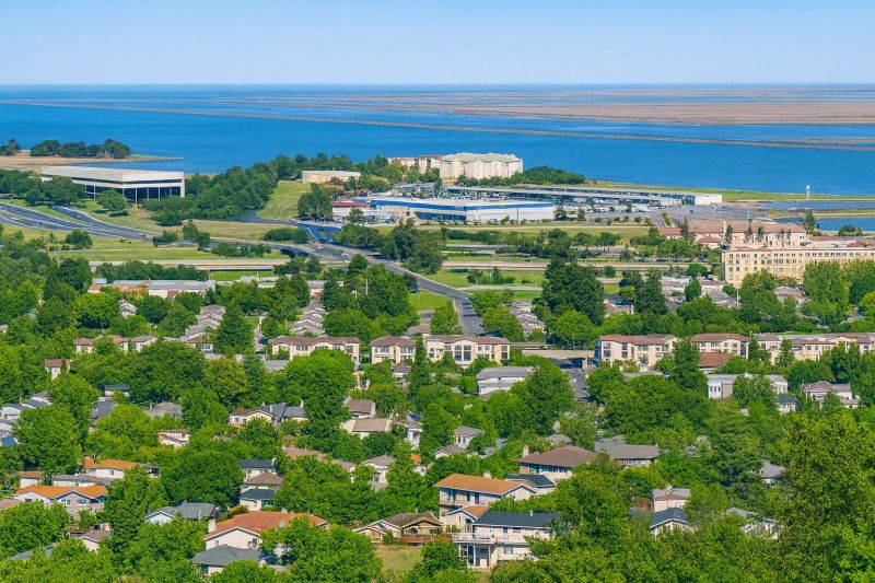 Local Tree Maintenance Service in San Carlos, CA