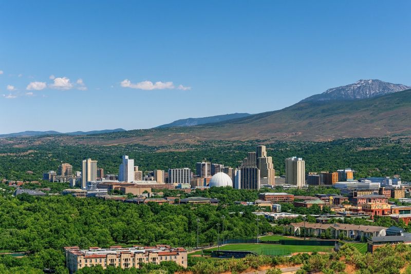 Local Tree Pruning in Sparks, NV