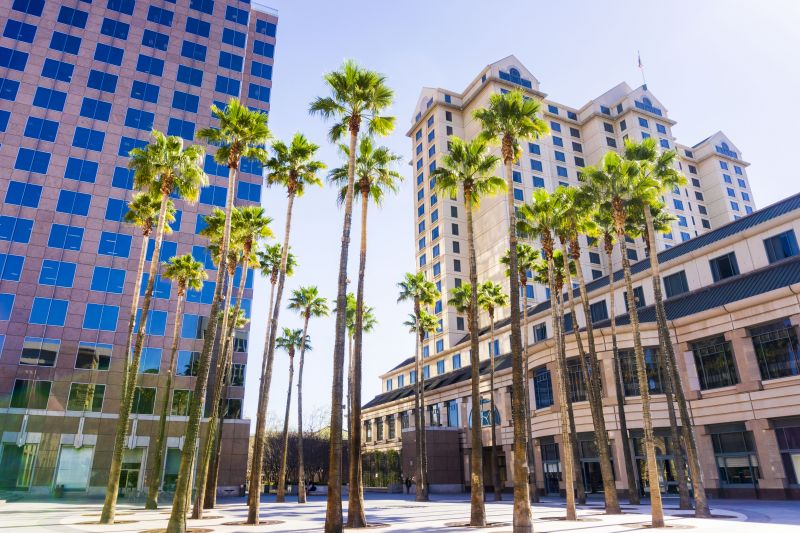 Local Tree Pruning in San Jose, CA