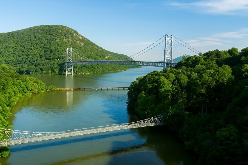 Local Tree Shaping Service in Monsey, NY