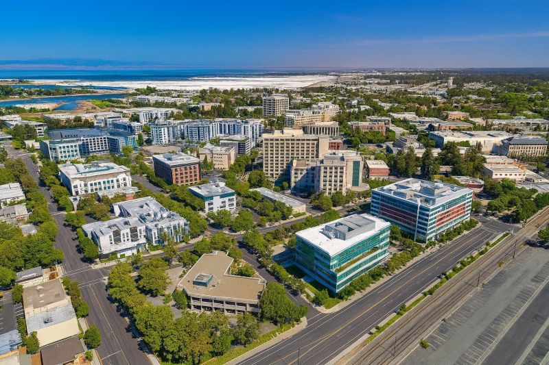 Local Tree Trimming Service in Redwood City, CA
